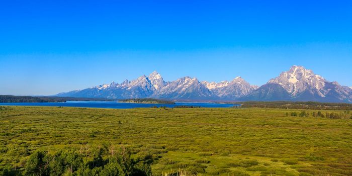 Jackson Lake in front of Teton Range in Grand Teton National Pak.  Taken in early morning, deep blue sky no cloud