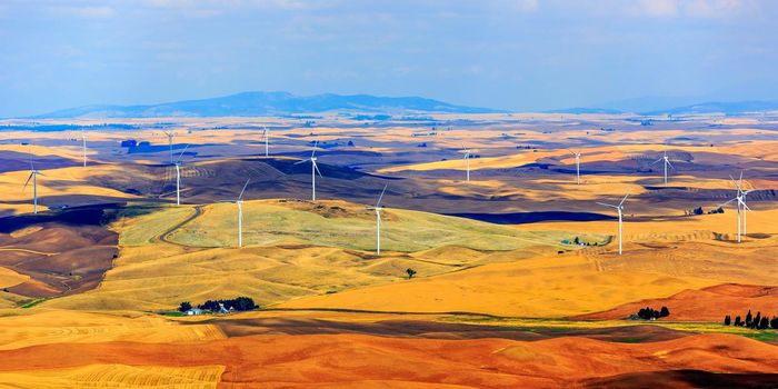Wind turbines seen from the Steptoe Butte State Park lookout. One of the largest wind farms in the country. Seen in the Palouse area of Eastern Washington state, USA.