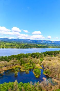 The view from a small hill overlooking Columbia river gorge.