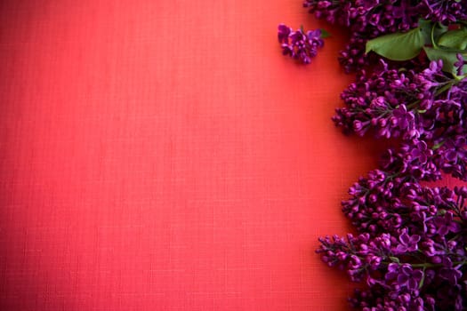 red background with branches of blooming beautiful lilac, empty space for text.