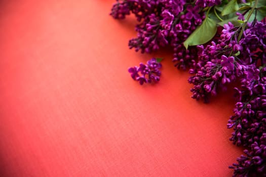 red background with branches of blooming beautiful lilac, empty space for text.