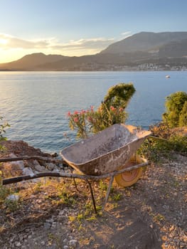 Old construction wheelbarrow stands near a flowering bush on the seashore. High quality photo