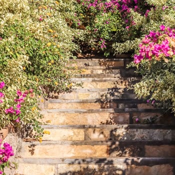 Natural stone stairs landscaping in the garden. High quality photo