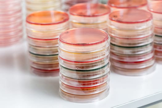 Red and yellow petri dishes stacks in microbiology lab on the bacteriology laboratory background. Focus on stacks.