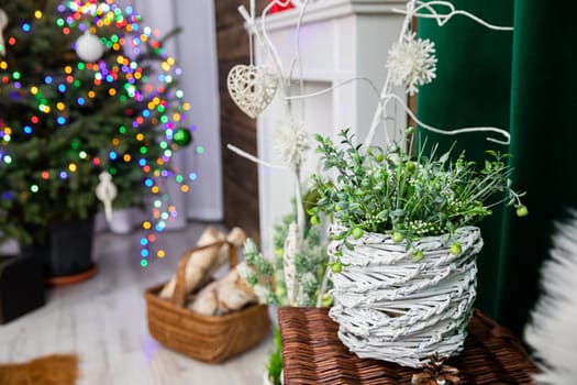 A close-up view of a green flower with leaves in a white pot stands as part of the decoration for the Christmas world.
