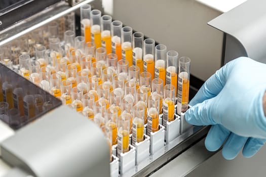 set of Test tubes in the laboratory
