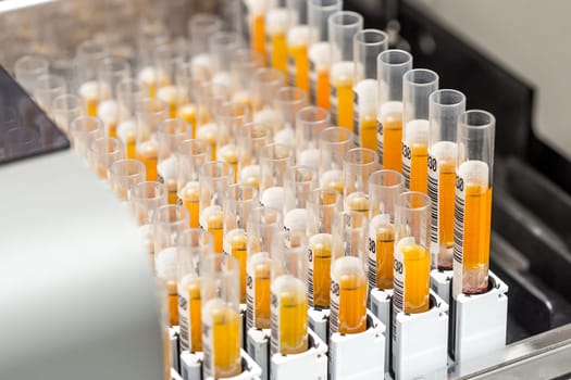 set of Test tubes in the laboratory