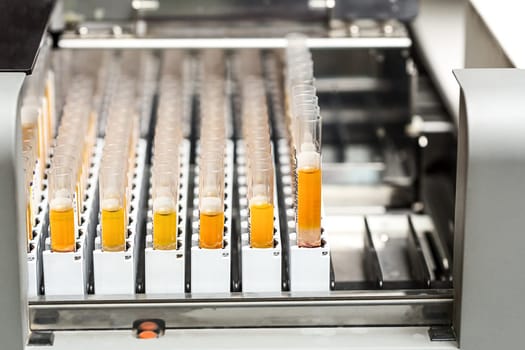 Test-tubes with yellow liquid in the laboratory. Medical research