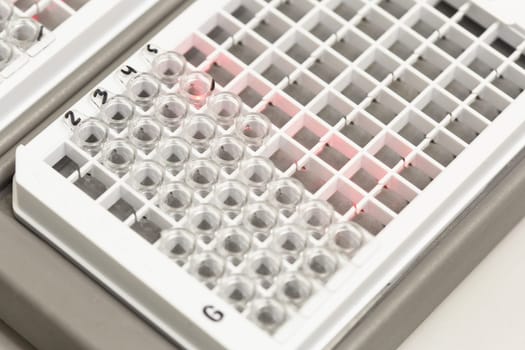 Medical test tubes in boxes. Laboratory, research analysis