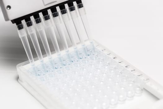 Pipette depositing samples into a 96 well micro-plate. Laboratory, research, analysis. Close-up