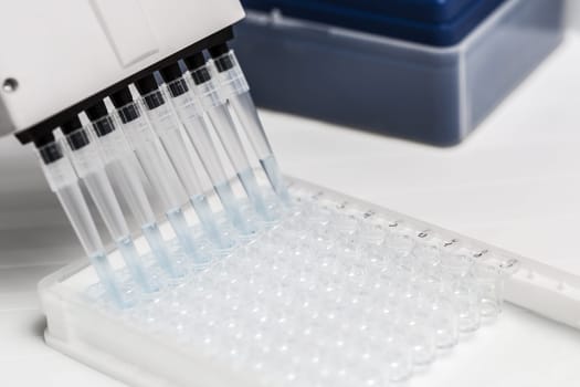 Pipette depositing samples into a 96 well micro-plate. Laboratory, research, analysis. Close-up