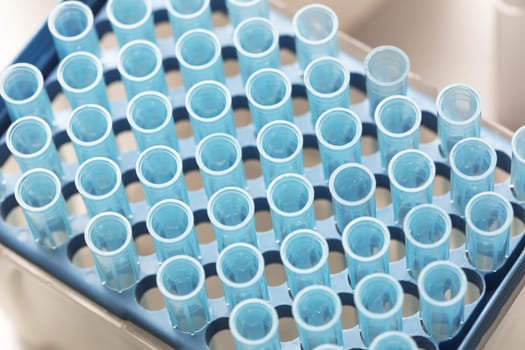 Medical test tubes in boxes. Laboratory, research analysis