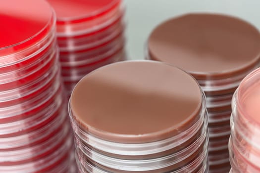 Red and brown petri dishes stacks in microbiology lab. Focus on stacks. Medical research