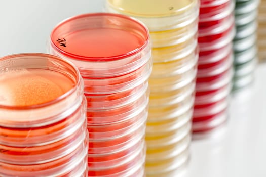 Red and yellow petri dishes stacks in microbiology lab on the bacteriology laboratory background. Focus on stacks.