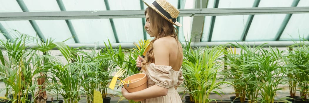 A beautiful young woman takes care of plants in a greenhouse. The concept of gardening and an eco-friendly lifestyle