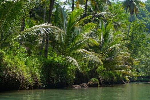 Cruising on the beautiful and calm river with trees at Kali Cokel, Pacitan, Indonesia. Nature and wildlife photography.