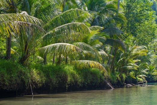Cruising on the beautiful and calm river with trees at Kali Cokel, Pacitan, Indonesia. Nature and wildlife photography.
