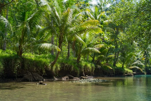 Cruising on the beautiful and calm river with trees at Kali Cokel, Pacitan, Indonesia. Nature and wildlife photography.
