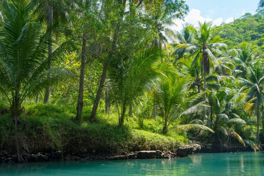 Cruising on the beautiful and calm river with trees at Kali Cokel, Pacitan, Indonesia. Nature and wildlife photography.