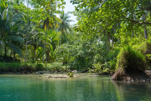 Cruising on the beautiful and calm river with trees at Kali Cokel, Pacitan, Indonesia. Nature and wildlife photography.
