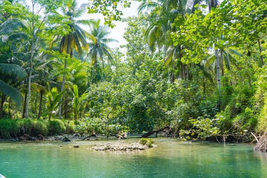 Cruising on the beautiful and calm river with trees at Kali Cokel, Pacitan, Indonesia. Nature and wildlife photography.