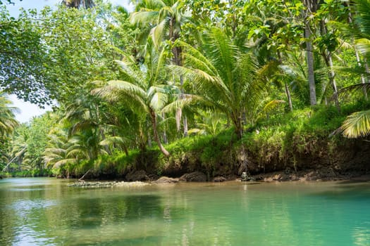 Cruising on the beautiful and calm river with trees at Kali Cokel, Pacitan, Indonesia. Nature and wildlife photography.