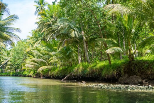 Cruising on the beautiful and calm river with trees at Kali Cokel, Pacitan, Indonesia. Nature and wildlife photography.