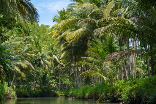 Cruising on the beautiful and calm river with trees at Kali Cokel, Pacitan, Indonesia. Nature and wildlife photography.