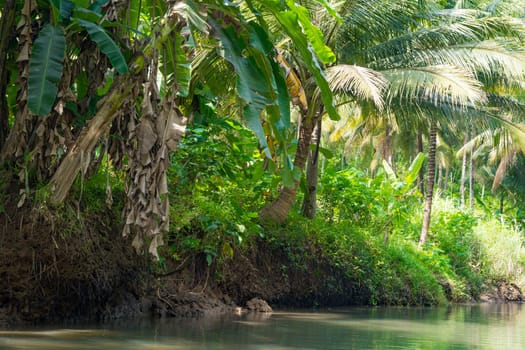 Cruising on the beautiful and calm river with trees at Kali Cokel, Pacitan, Indonesia. Nature and wildlife photography.