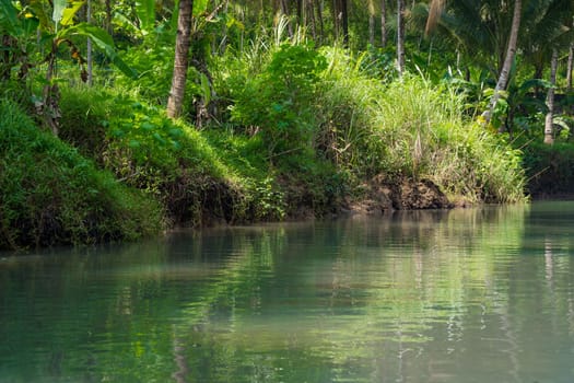 Cruising on the beautiful and calm river with trees at Kali Cokel, Pacitan, Indonesia. Nature and wildlife photography.