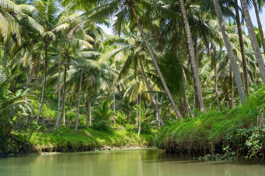 Cruising on the beautiful and calm river with trees at Kali Cokel, Pacitan, Indonesia. Nature and wildlife photography.