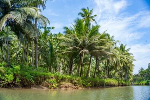 Cruising on the beautiful and calm river with trees at Kali Cokel, Pacitan, Indonesia. Nature and wildlife photography.