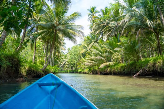 Cruising on the beautiful and calm river with trees at Kali Cokel, Pacitan, Indonesia. Pov from boat Nature and wildlife photography.