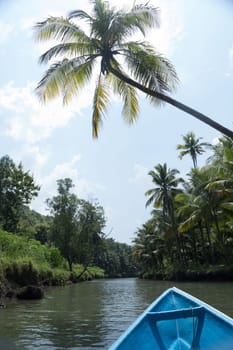 Cruising on the beautiful and calm river with trees at Kali Cokel, Pacitan, Indonesia. Nature and wildlife photography.