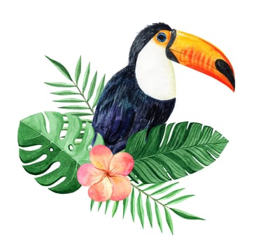 Watercolor toucan and tropical floral isolated on white background. Hand drawn exotic bird and plumeria illustration