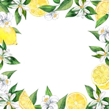 Watercolor square lemon frame isolated on white background. Hand drawn citrus border illustration