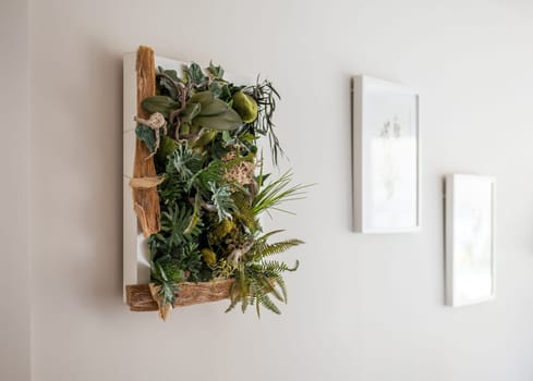 Close-up of framed herbarium composition hanging on a white wall on the background of blurry framed pictures in a Scandinavian style interior. Concept of fashionable accents in interior design.