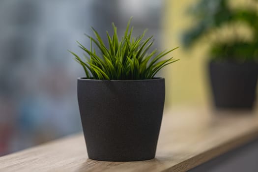 Green artificial grass with a lot of plastic stems in gray concrete flower pot