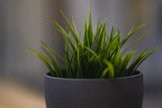 Green artificial grass with a lot of plastic stems in gray concrete flower pot