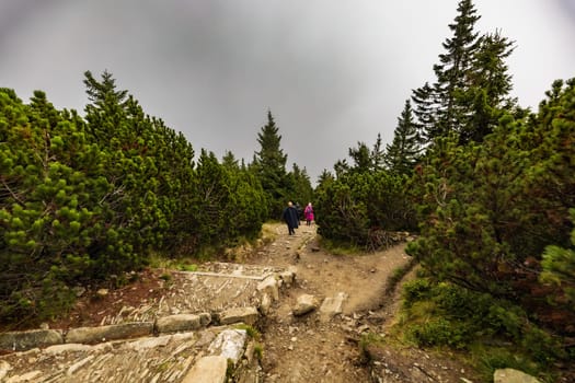 Long stony mountain trail over Sniezka mountain in Giant mountains with beautiful cloudy green landscape around