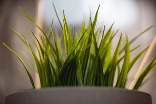 Green artificial grass with a lot of plastic stems in gray concrete flower pot