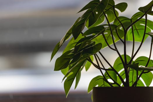 Green artificial flower with a lot of plastic leaves in gray concrete flower pot