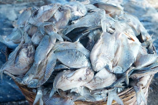 Traditional process of drying the salted fish under direct sunlight in Gresik, Indonesia. Street Photography