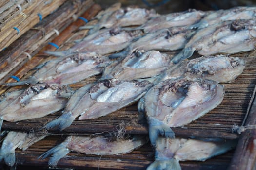 Traditional process of drying the salted fish under direct sunlight in Gresik, Indonesia. Street Photography