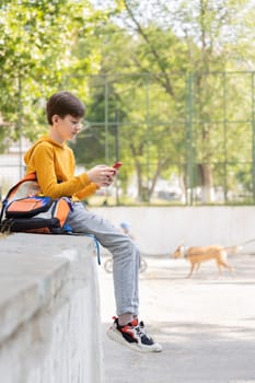 Caucasian teen boy sitting in the park and using mobile phone, gaming or chatting. Full body shot