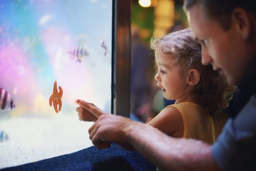 Father, aquarium and girl pointing at fish for learning, curiosity and knowledge, education and bonding. Dad, oceanarium and child with parent watching marine life underwater in fishtank on vacation