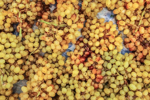Top view - small yellow grapes displayed on food market, Kyrenia, Northern Cyprus