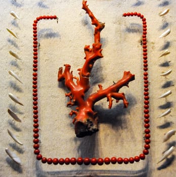 NEW YORK, USA - DECEMBER 05, 2011: A branch of red coral and coral beads on display at the Museum of National History, USA
