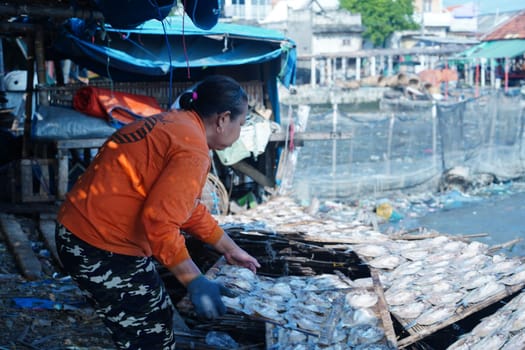 May 13, 2023. The preparation to dry the salted fish on a bamboo tray in Gresik, Indonesia. Street videography.