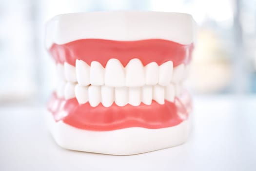 Dental, teeth model and orthodontics with healthcare and closeup, oral hygienist and health insurance. Veneers, dentistry equipment and healthy gums with fresh breath, medical and tooth care.